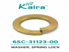 Reel Spring Teeth (Righthanded)
